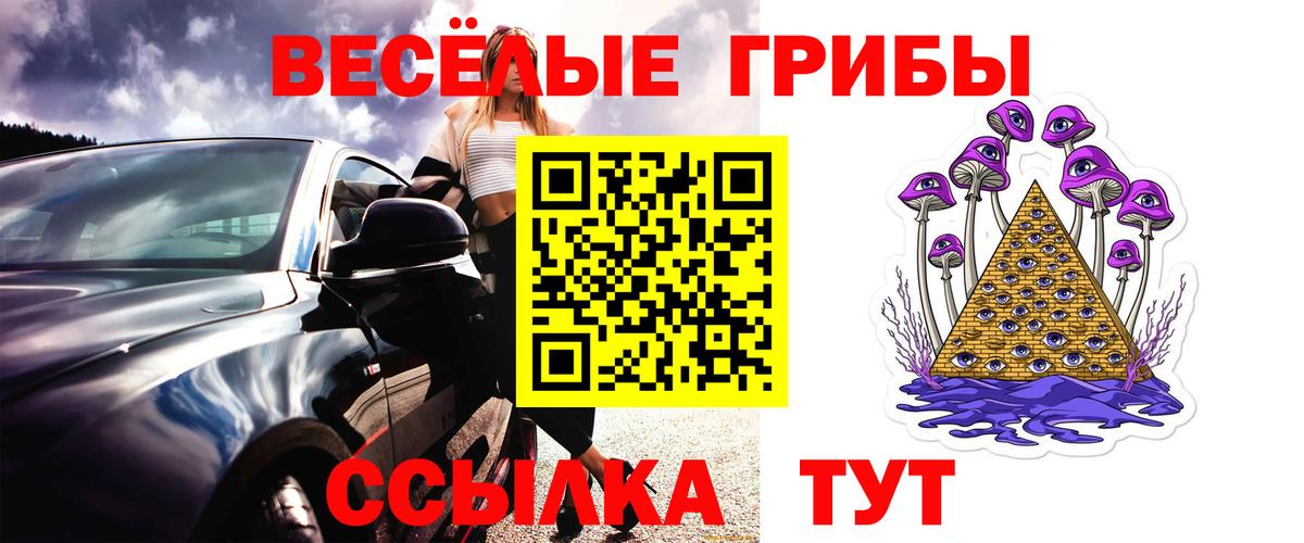 Нурлат  Псилоцибиновые грибы Psilocybine cubensis  Вход с VPN  Псилоцибиновые грибы Magic Shrooms 